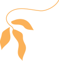 shape 3
